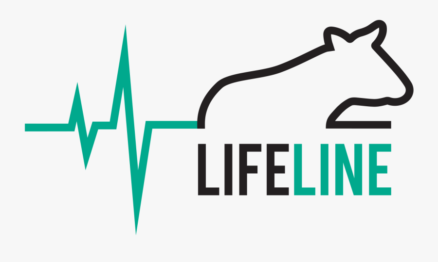 Offline October Clipart , Png Download - Quotes Trip Of A Lifetime, Transparent Clipart