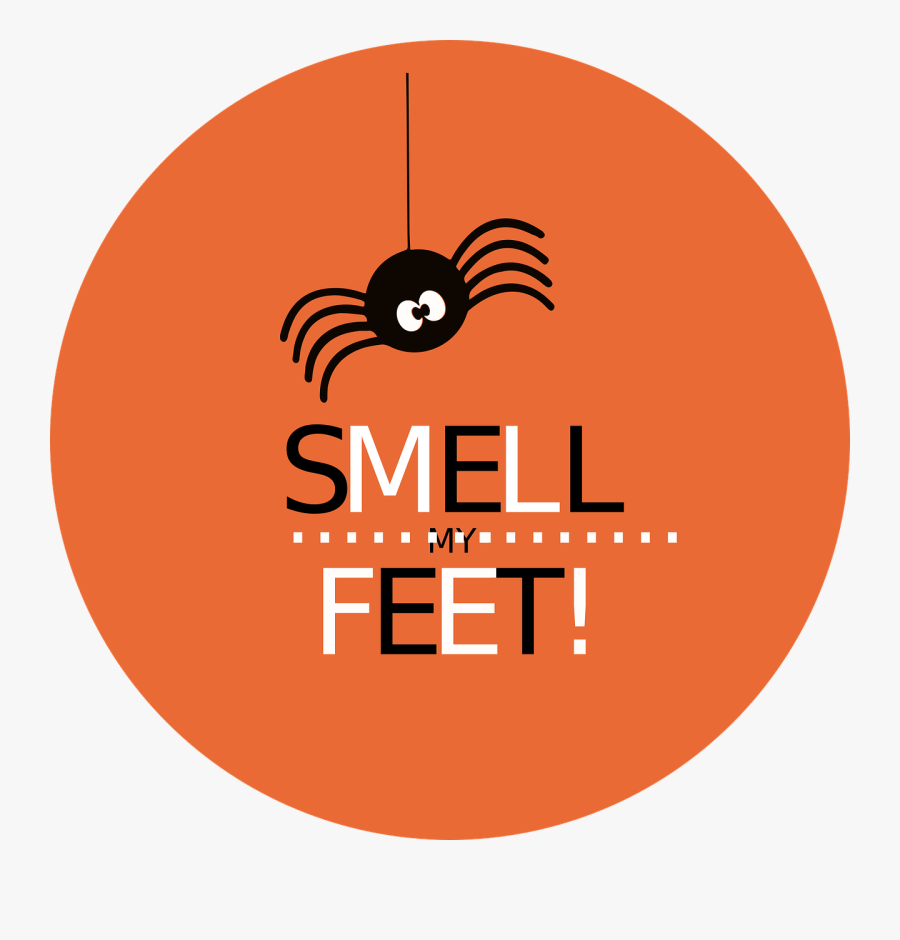 Transparent Cute Halloween Spider Clipart - Circle, Transparent Clipart