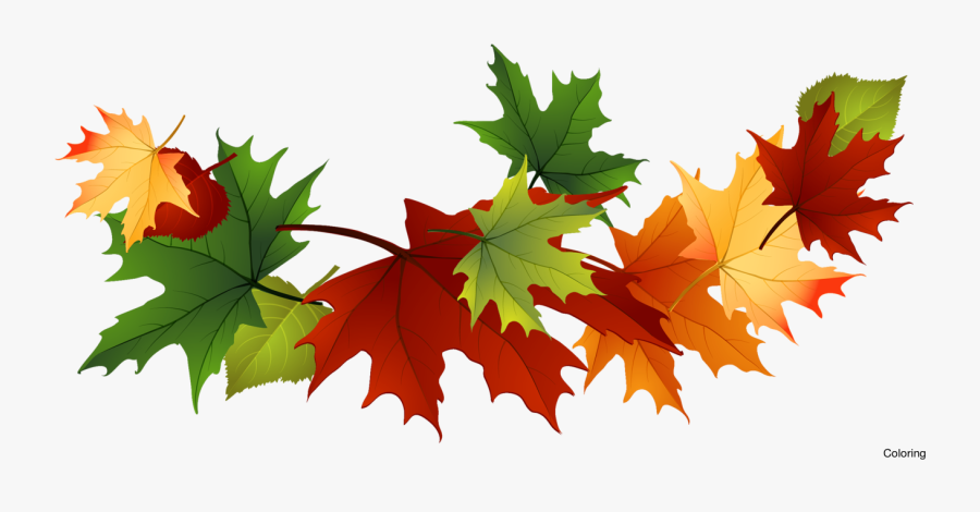 Fall Leaves Clip Art Transparent Background, Transparent Clipart