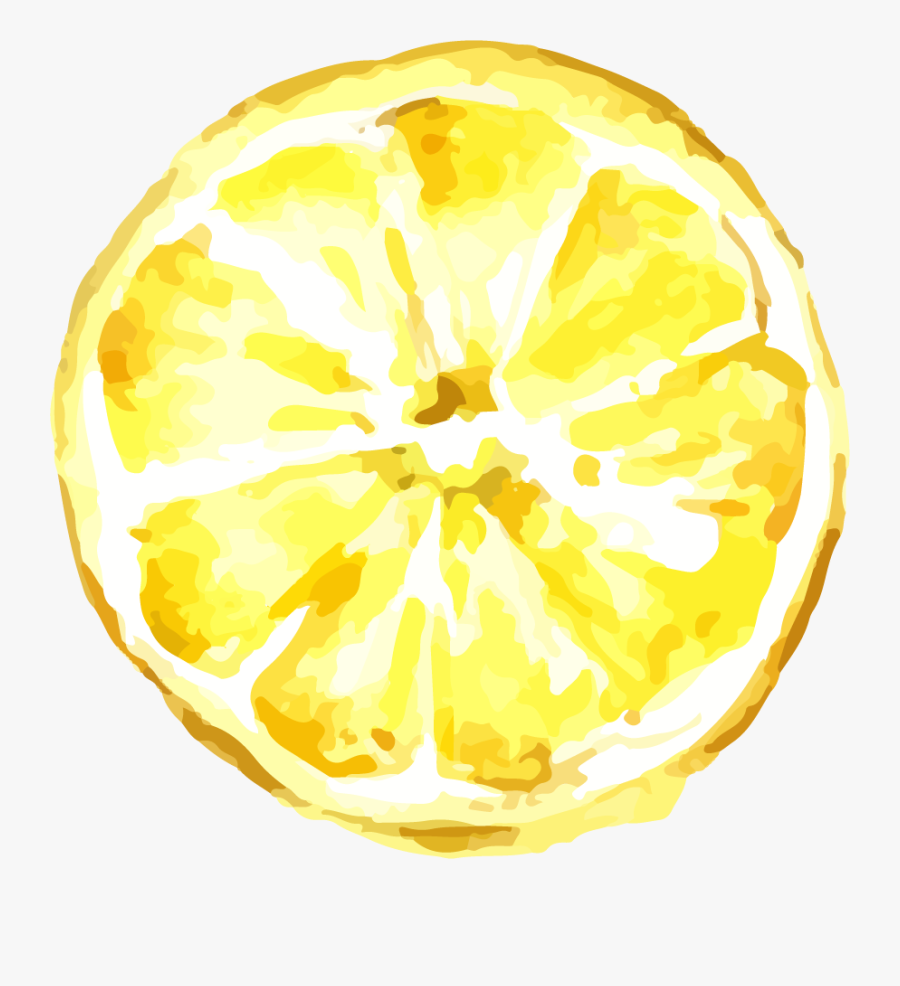 Lemon Transparent Png Image & Lemon Clipart - Transparent Background Lemon Half Clipart, Transparent Clipart