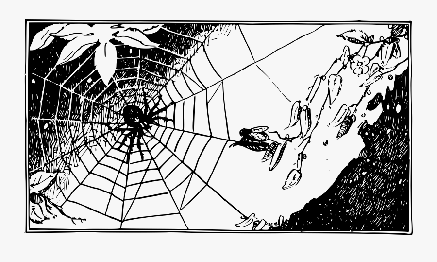 Spider Web,art,symmetry - Spiderweb Wallpaper Desktop Black, Transparent Clipart