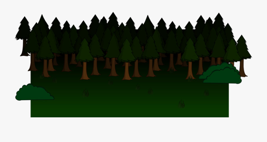 Download Forest Png Clipart - Forest Clipart Png, Transparent Clipart