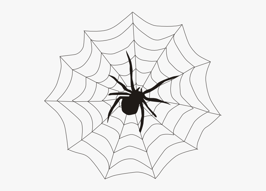 Spider On A Web, Transparent Clipart