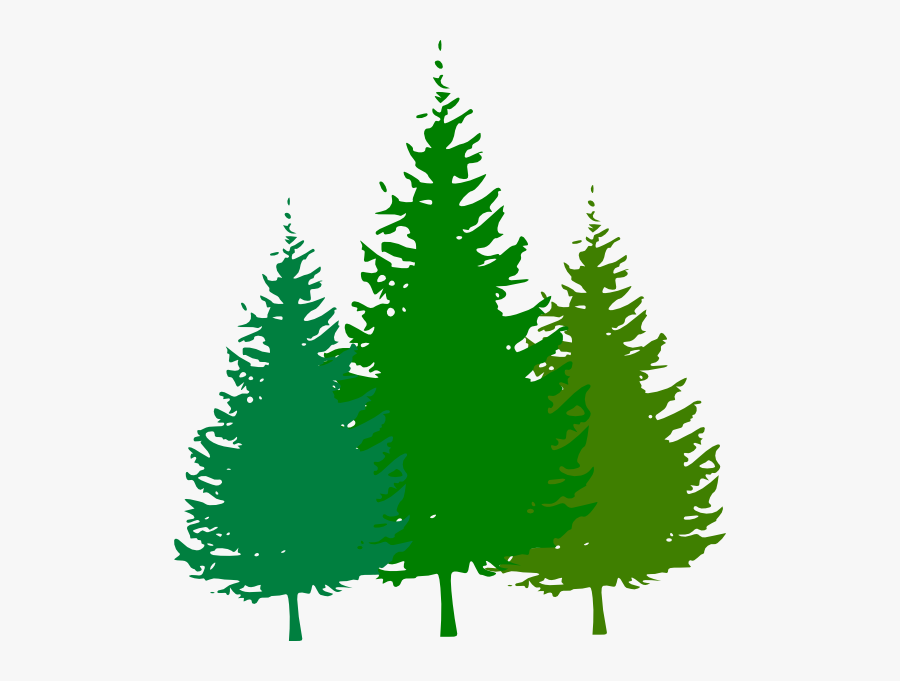 Forest Clip Art Free - Clipart Pine Trees Black And White, Transparent Clipart