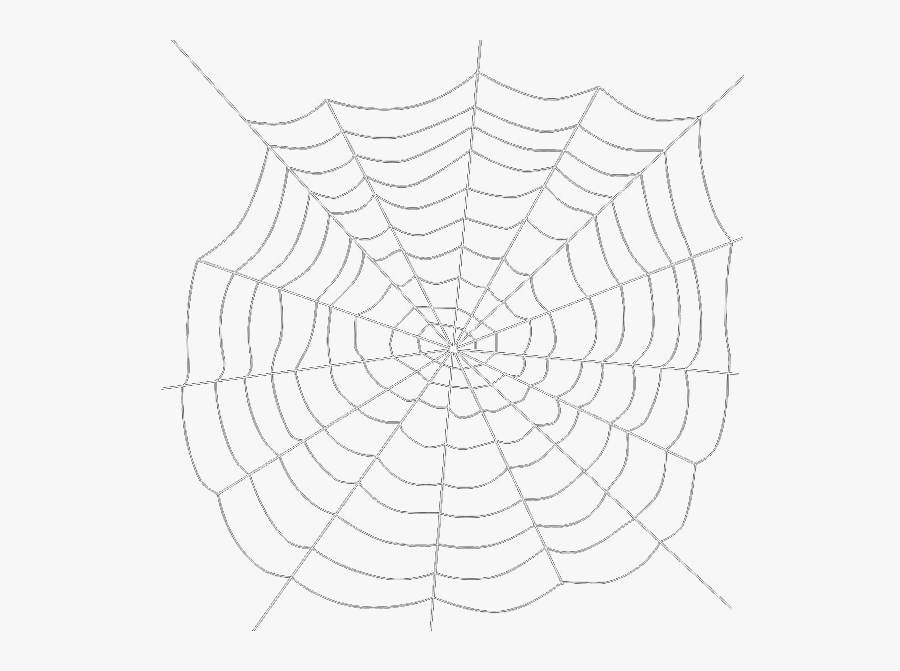 Spider Web Png Transparent Background - Spider Webs Transparent Background, Transparent Clipart