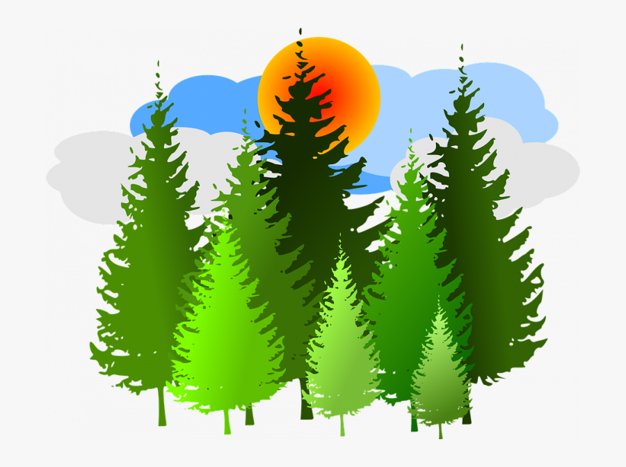 Transparent Forest - Pine Trees Clip Art, Transparent Clipart