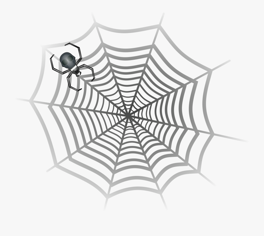 Clipart Spider Web - Karakalem Örümcek Ağı Çizimi, Transparent Clipart