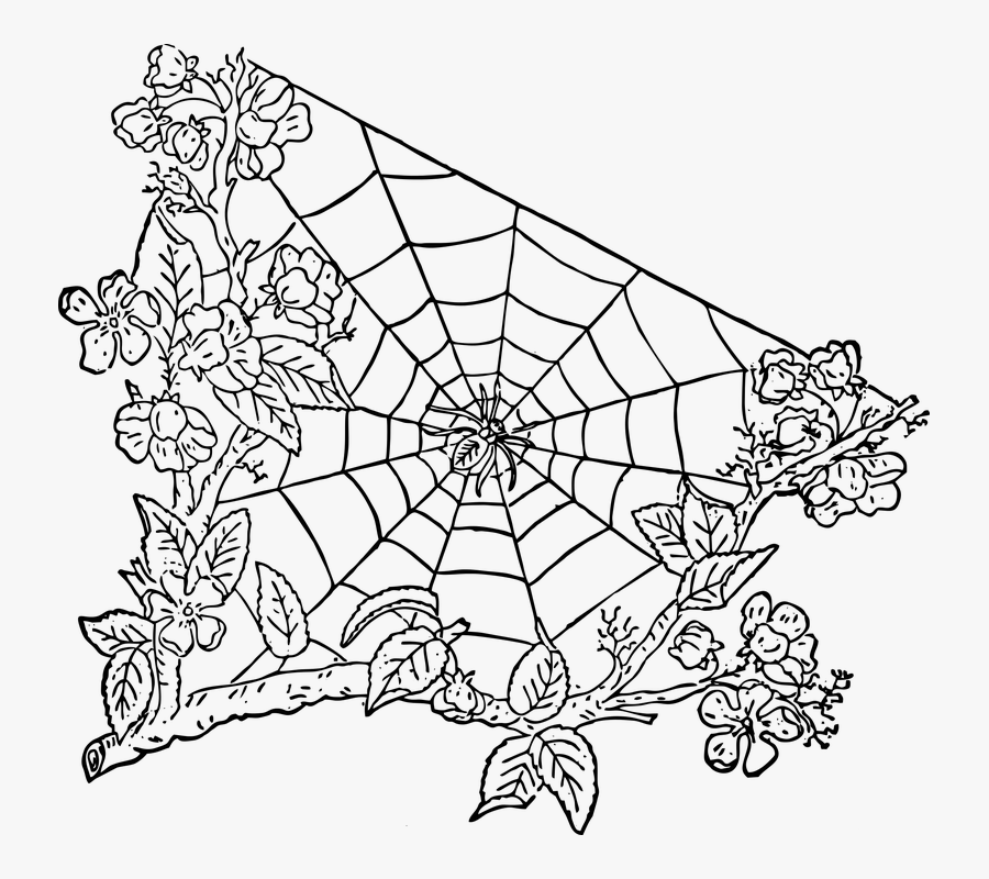 Spider Web Images - Spider-man, Transparent Clipart
