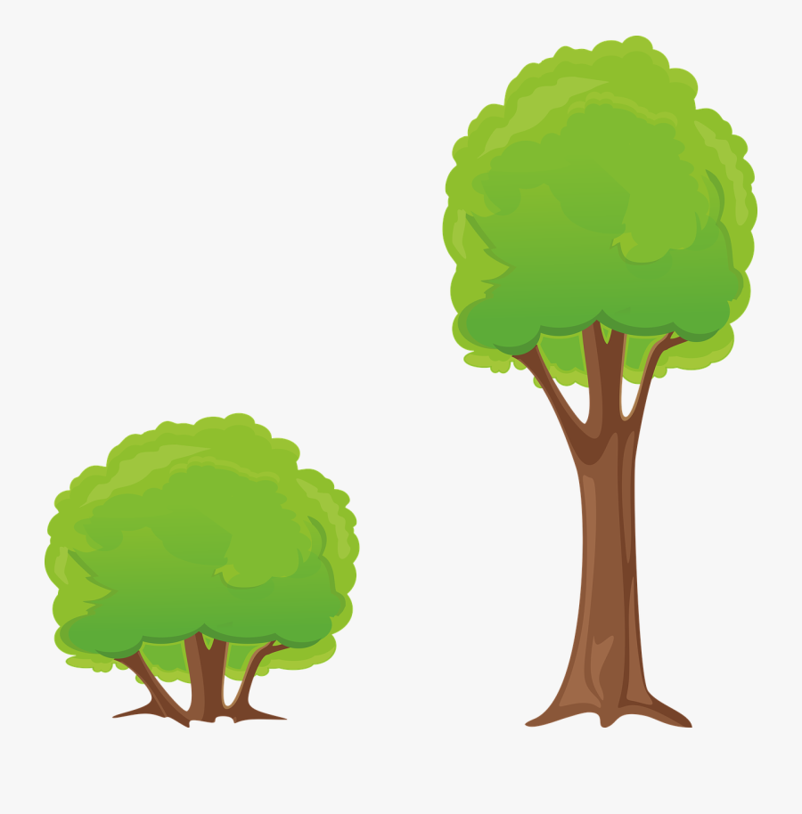 Tree, Bush, Clipart, Nature, Forest - Baum Clipart Png, Transparent Clipart