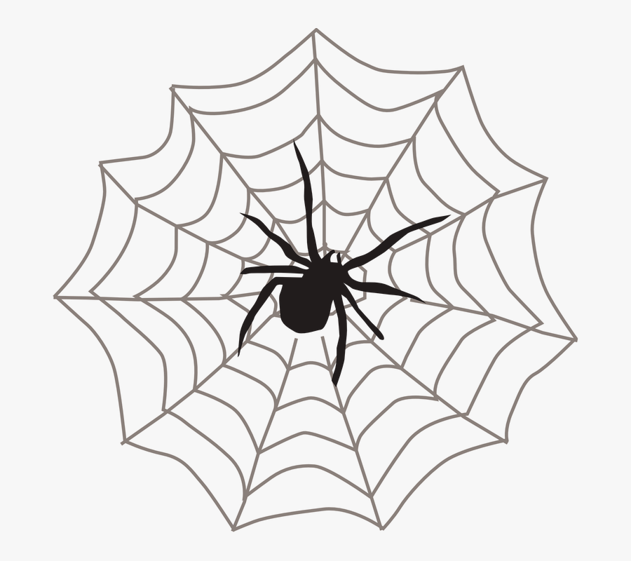 Drawn Spider Web Transparent - Spider On Web Clipart, Transparent Clipart