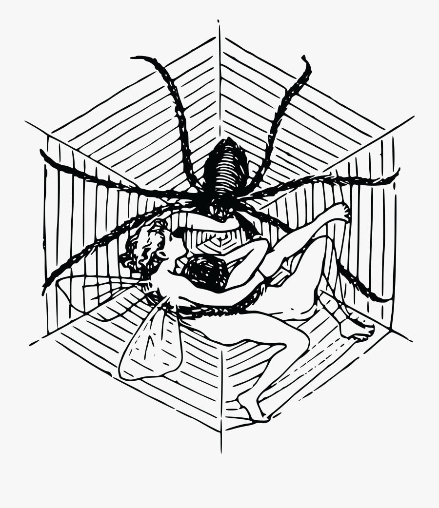 Free Clipart Images - Spider Web Pixel Art, Transparent Clipart