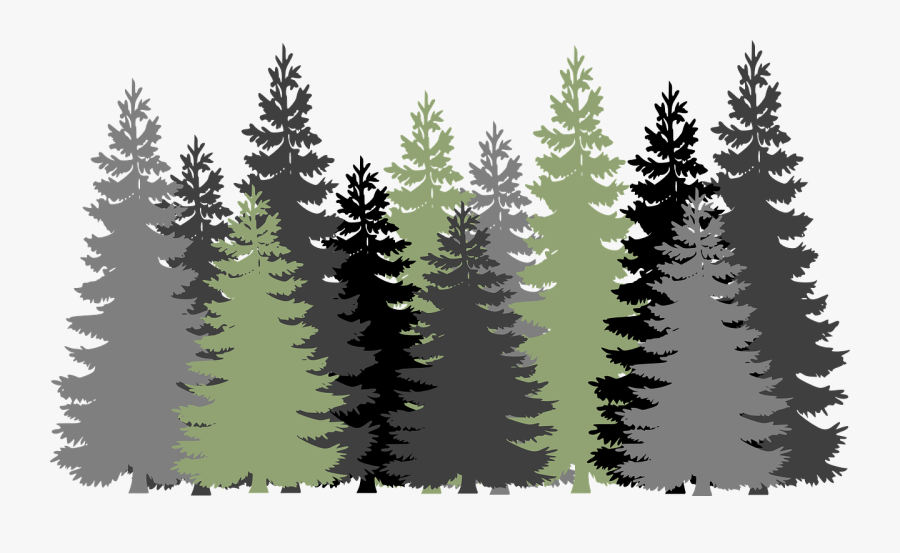 Thumb Image - Forest Clipart Transparent Background, Transparent Clipart