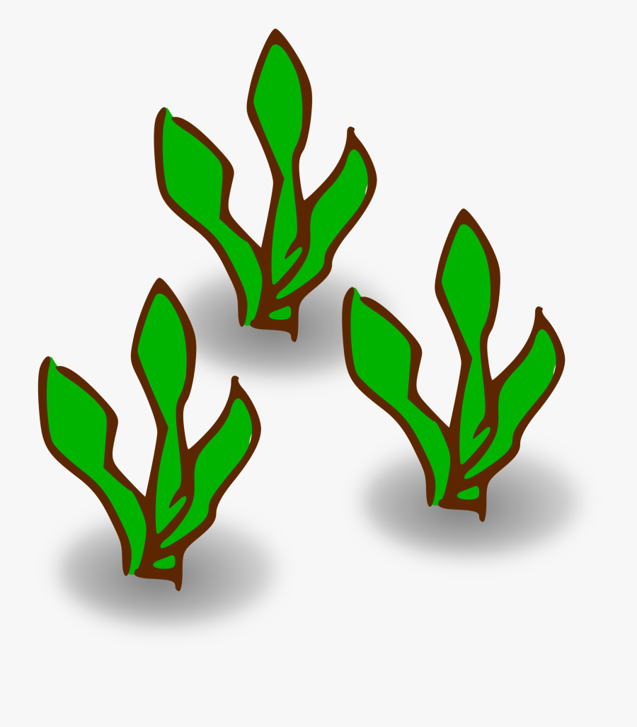 Clipart Kelp Forest Heavy - Kelp Clipart, Transparent Clipart