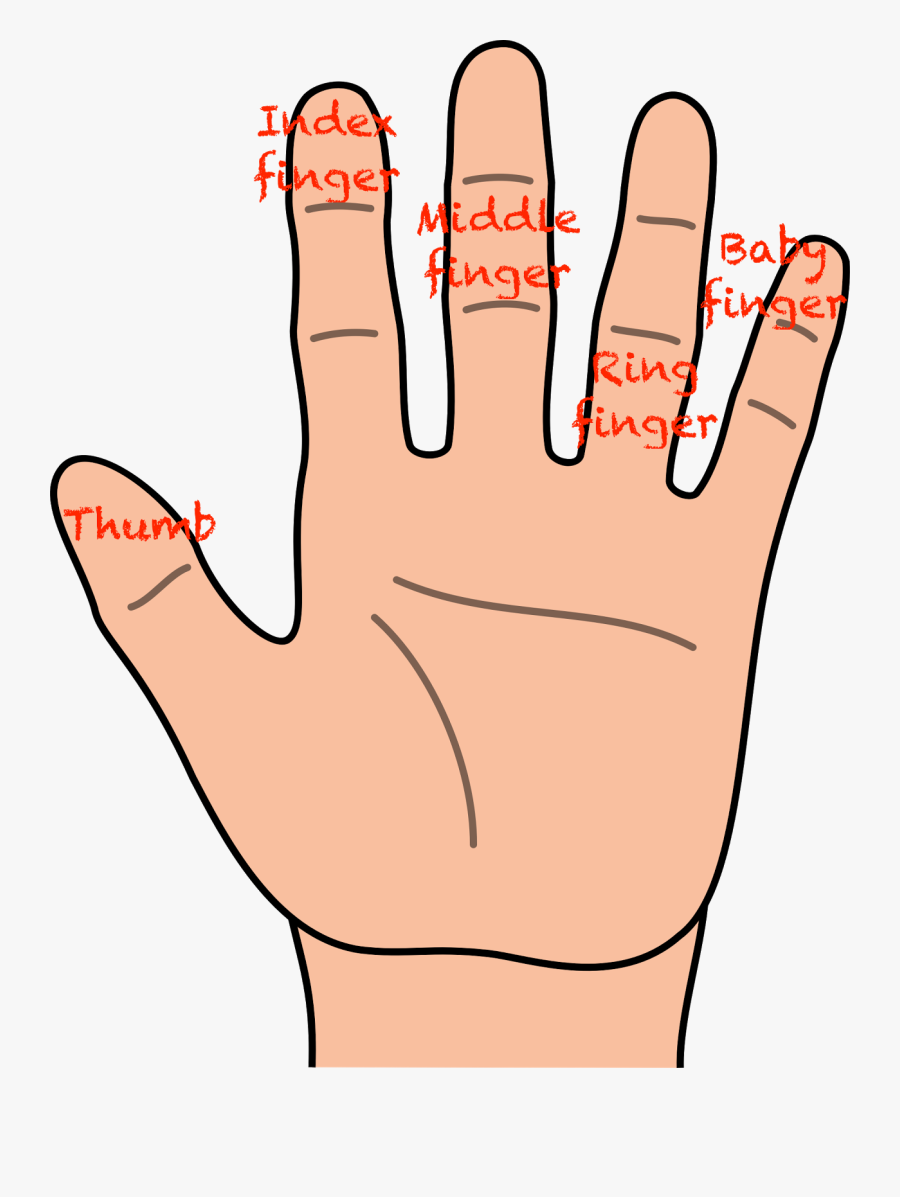 Free Hands Clip Art Pictures - Hand Clipart, Transparent Clipart