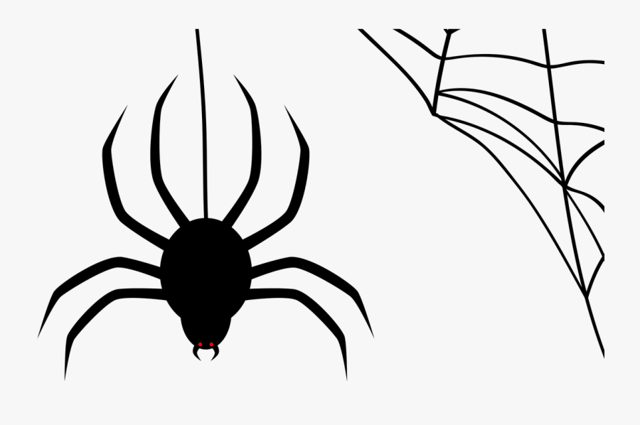 How Birds Fly - Spider Web Vector Png, Transparent Clipart