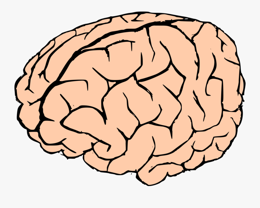 Brain Clipart - Clip Art Brain, Transparent Clipart