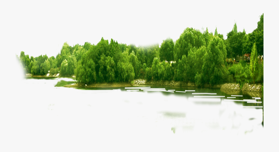 Forest Png Hd - Forest Png, Transparent Clipart