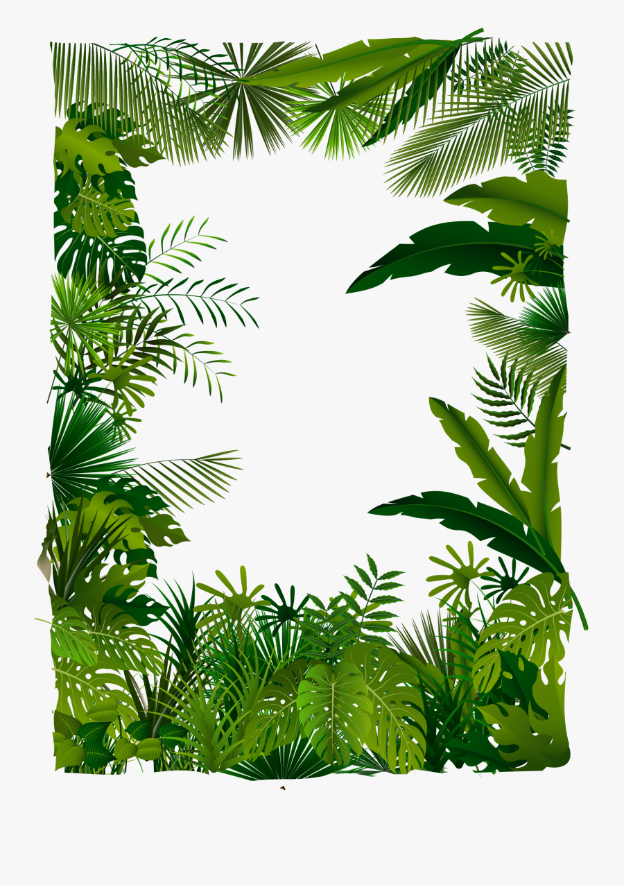 Trees Tree Illustration Tropical Euclidean Vector Forest - Tropical Forest Vector Png, Transparent Clipart