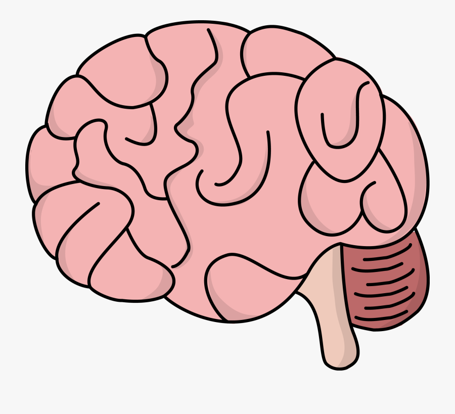 Cartoon Easy Brain Drawing, Transparent Clipart