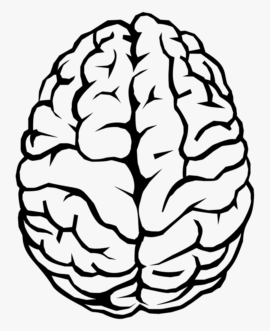 Brain Line Art Illustration - Transparent Background Brain Clipart, Transparent Clipart