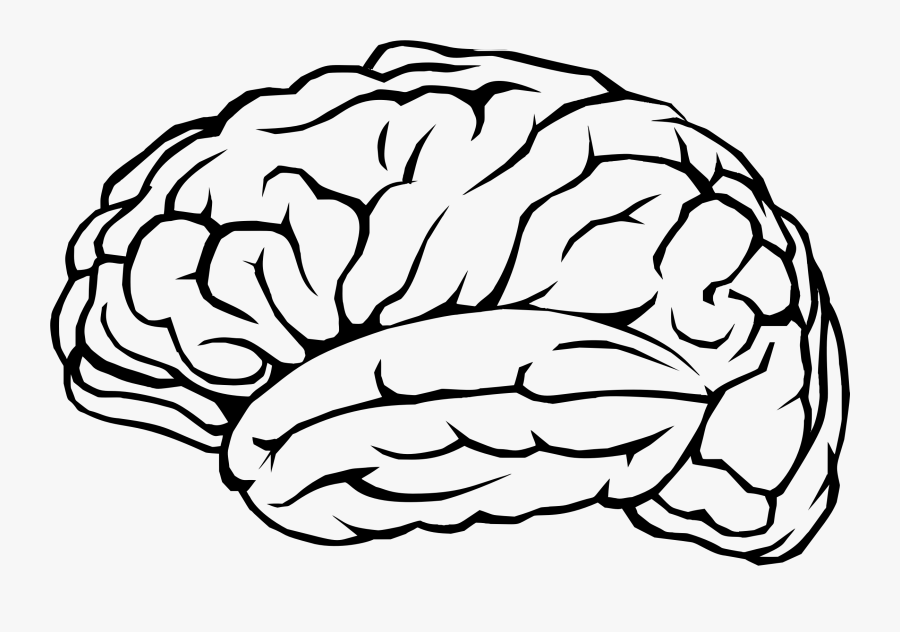 Brain Profile Line Art - Cartoon Transparent Background Brain, Transparent Clipart