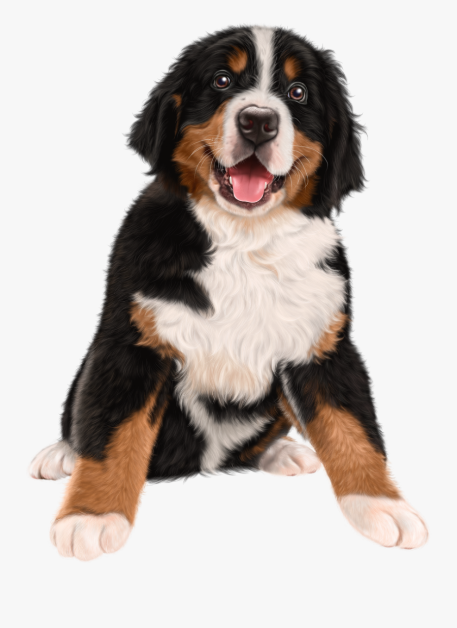 Golden Shepherd German Pug Dog Cuteness Puppy Clipart - Bernese Mountain Dog Transparent Background, Transparent Clipart