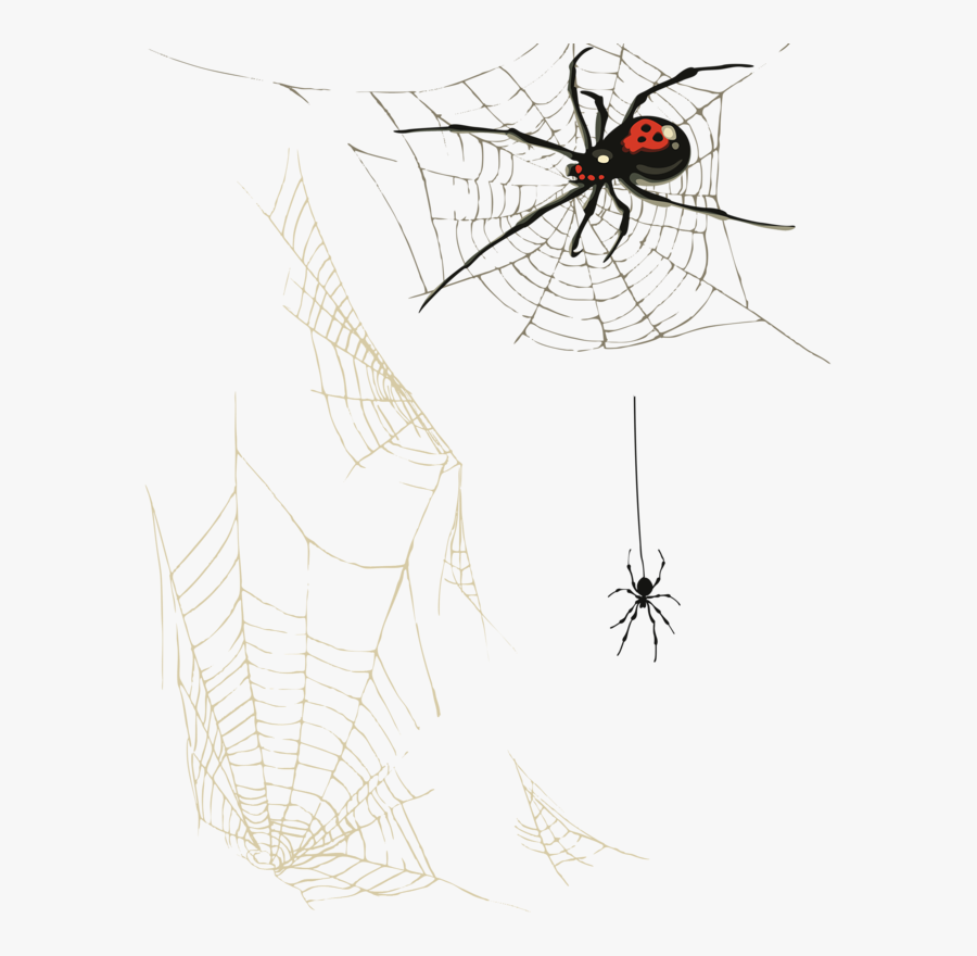Spiderweb Clipart Food Web - Spiderman Araignée Png, Transparent Clipart