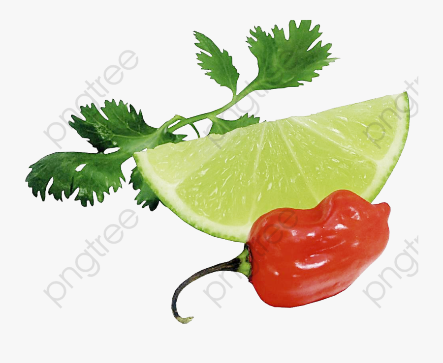 Peppers Clipart Green Lemon - Lá Chanh Và Ớt, Transparent Clipart