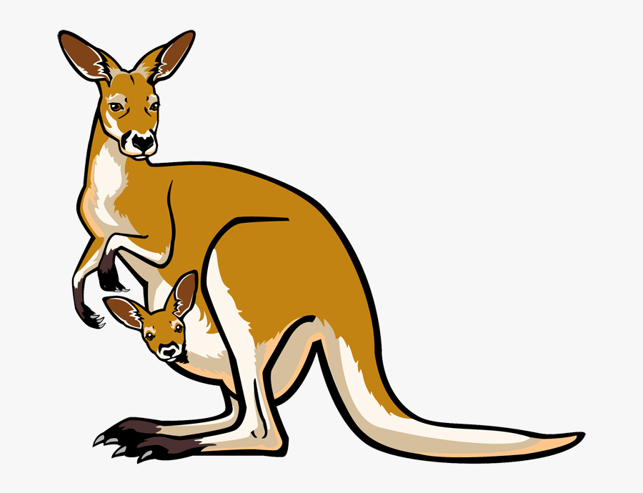 Clip Art Zoo Animals - Kangaroo Clip Art, Transparent Clipart