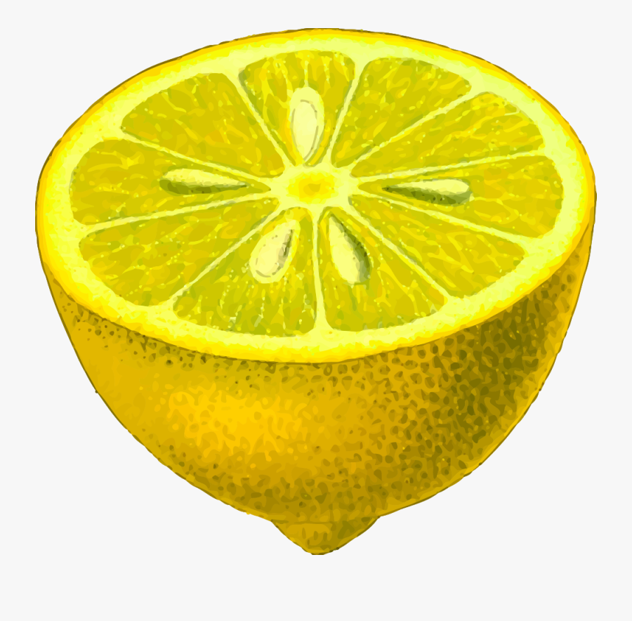 Meyer Lemon,bitter Orange,plant - Low Resolution Image Png, Transparent Clipart