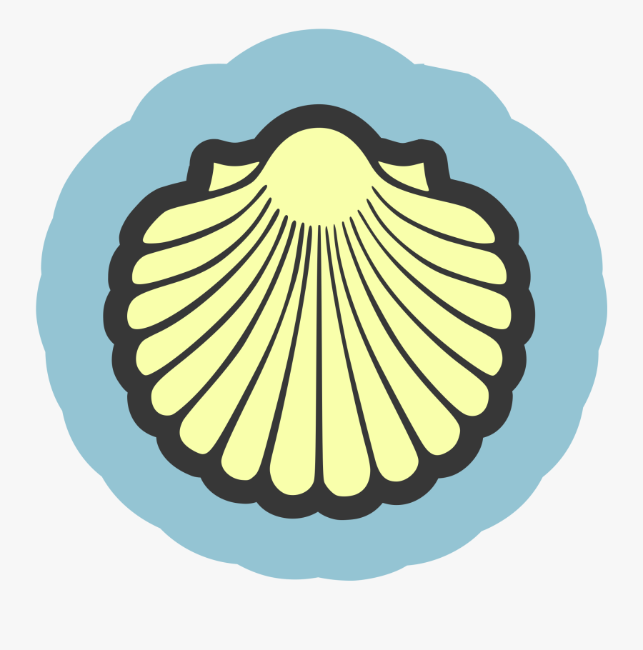 Seashell Icon Vector Clipart Image - Repeat 4 Fd 100 Rt 90, Transparent Clipart