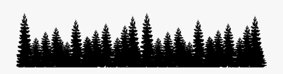 Black And White Forest Trail - Pine Tree Forest Silhouette, Transparent Clipart
