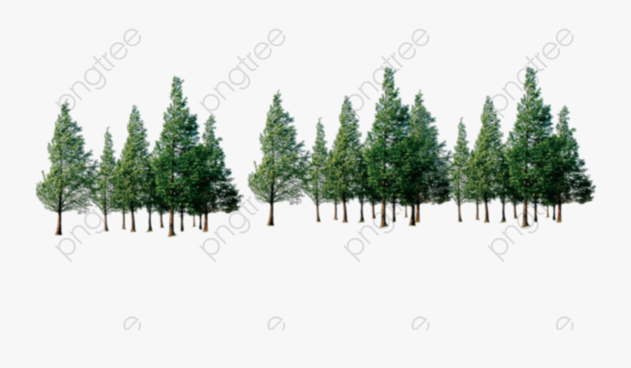 Forest Clipart Transparent - Forest Png, Transparent Clipart