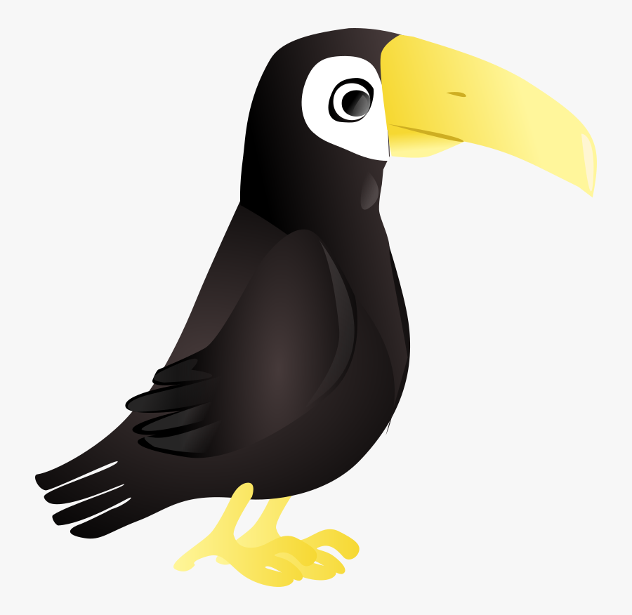 Toucan Clipart Zoo - Zoo Bird Clipart, Transparent Clipart