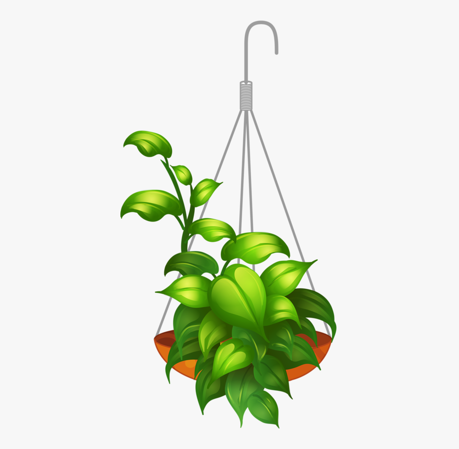 Hanging Plants Vector Png, Transparent Clipart
