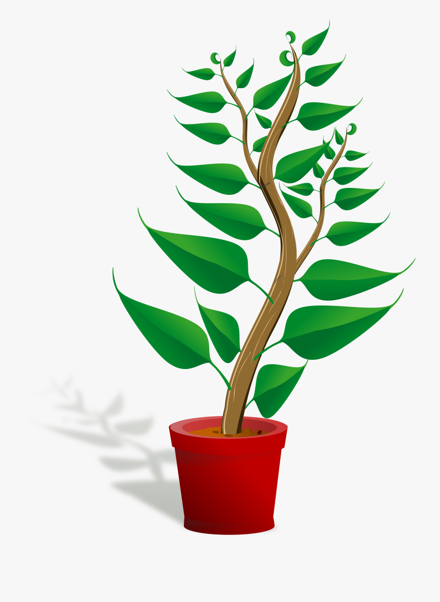 Plants Clip Art Free Clipart Images - Plant Clip Art Png, Transparent Clipart