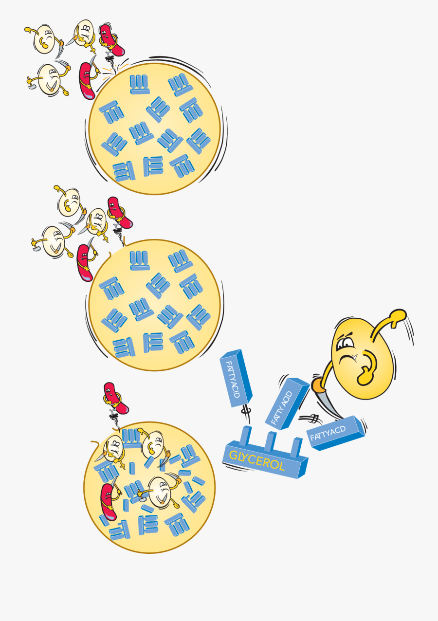 The Chemistry Of Milk, Transparent Clipart