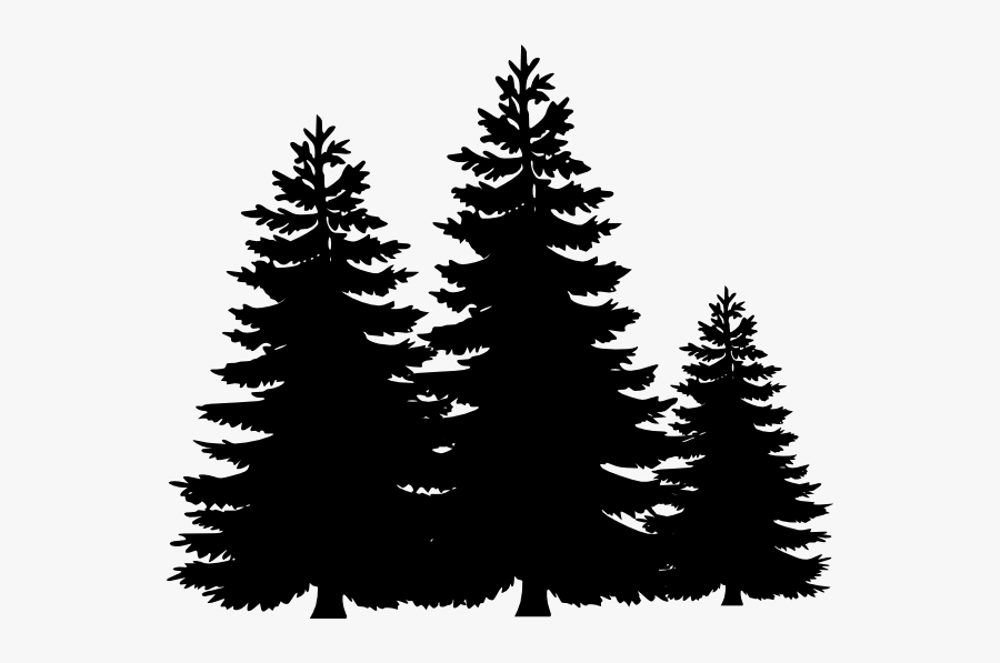 Black And White Tree Clipart, Transparent Clipart