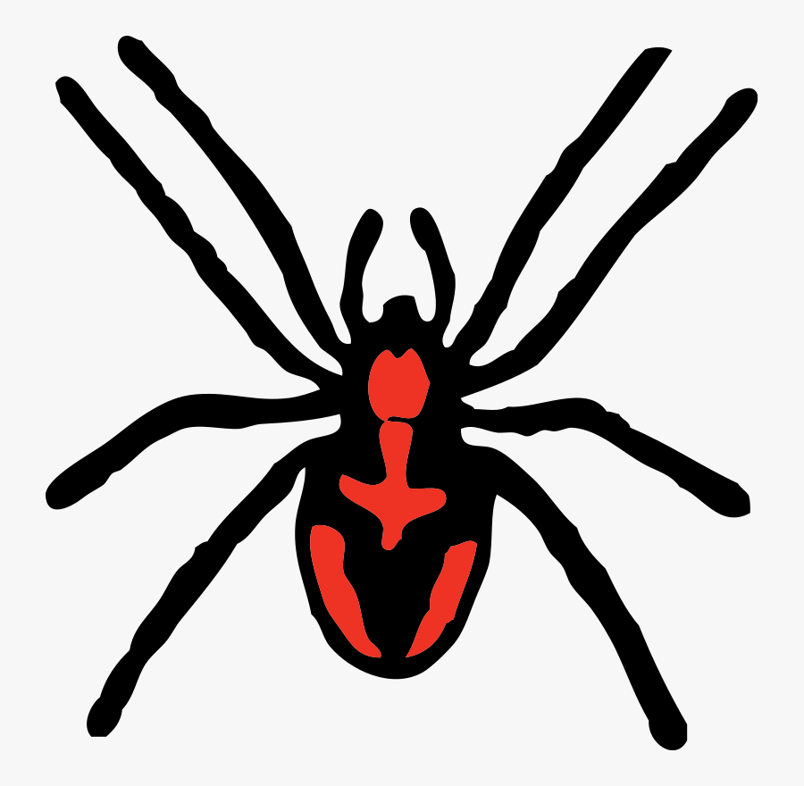 Tangle Web Spider,wing,widow Spider - Spider Clipart, Transparent Clipart