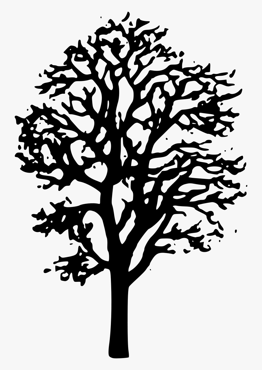 Maple Tree Clip Art - Maple Tree Clipart Black And White, Transparent Clipart