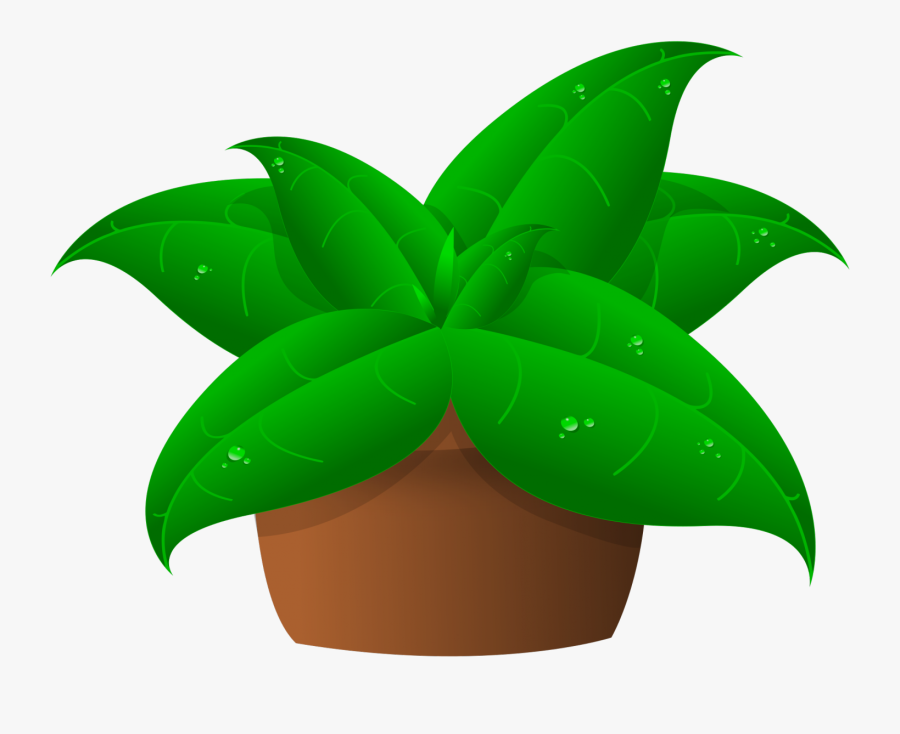 Plant Clipart Kid - Plant Clipart, Transparent Clipart