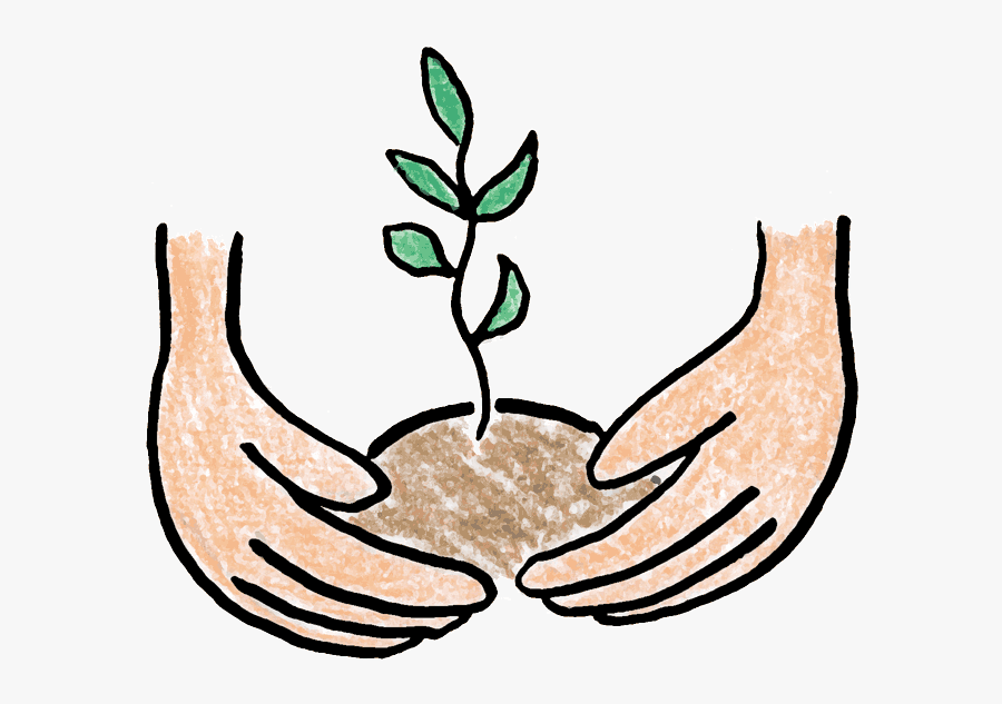 Corn Plant Growing Clipart - Tree Planting Clip Art, Transparent Clipart
