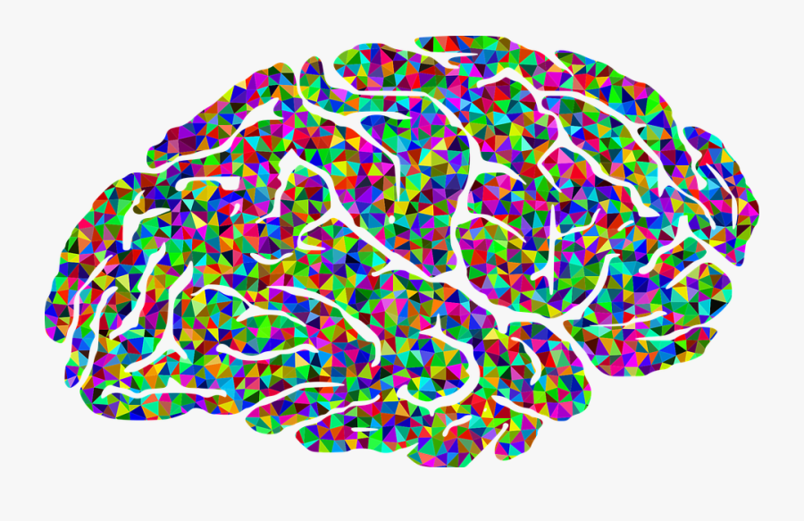 Pin Colors Clipart Brain - Clip Art Colorful Brain, Transparent Clipart