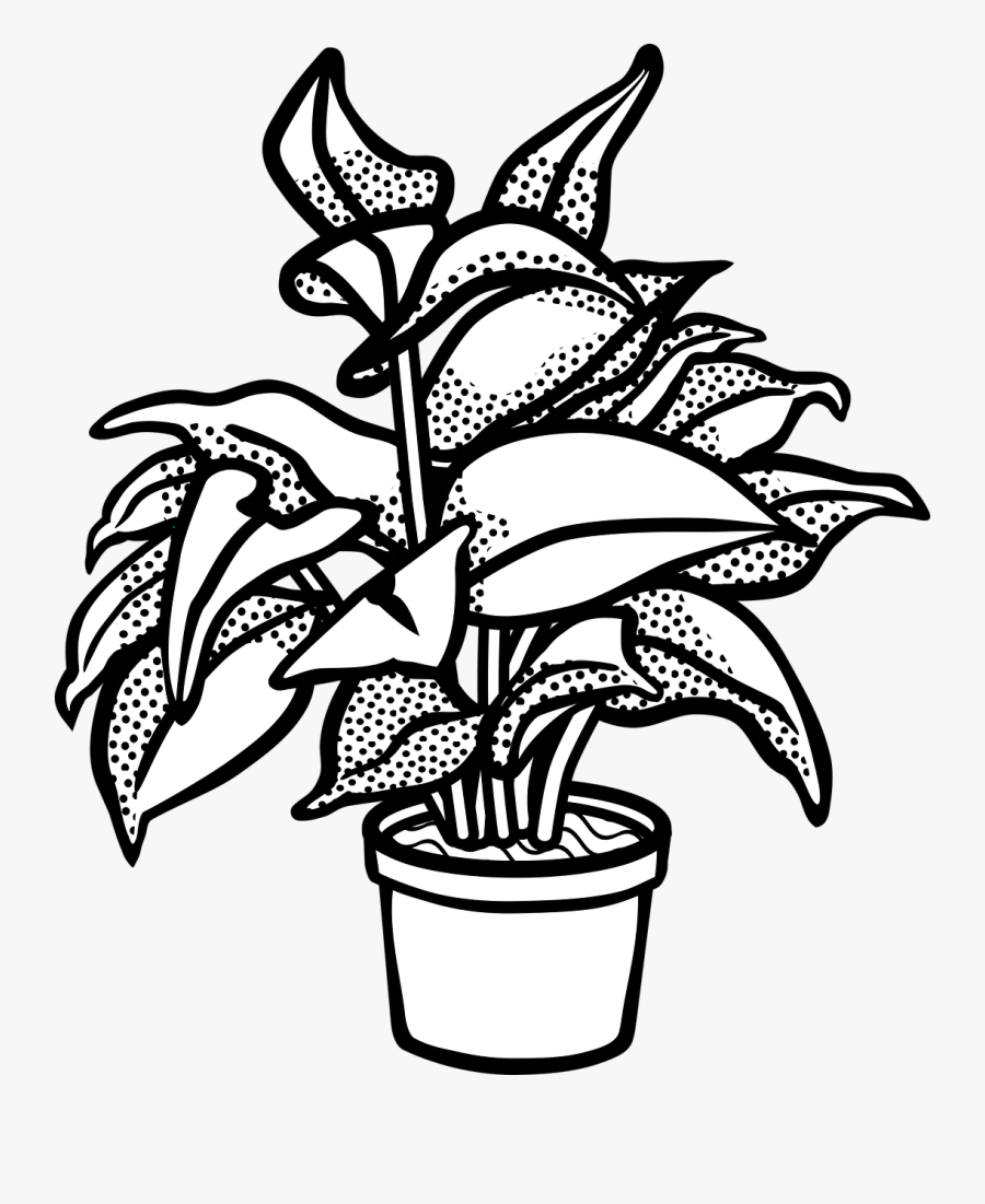Pot Plant Clipart Drawn - Plant In A Pot Black And White, Transparent Clipart