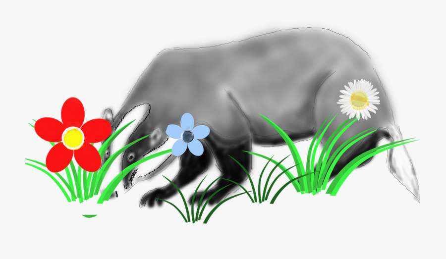 Badger Animal Forest - Daisy, Transparent Clipart
