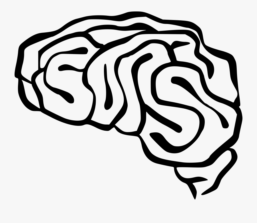 Drawing Of Brain - Simple Brain Clip Art Transparent, Transparent Clipart