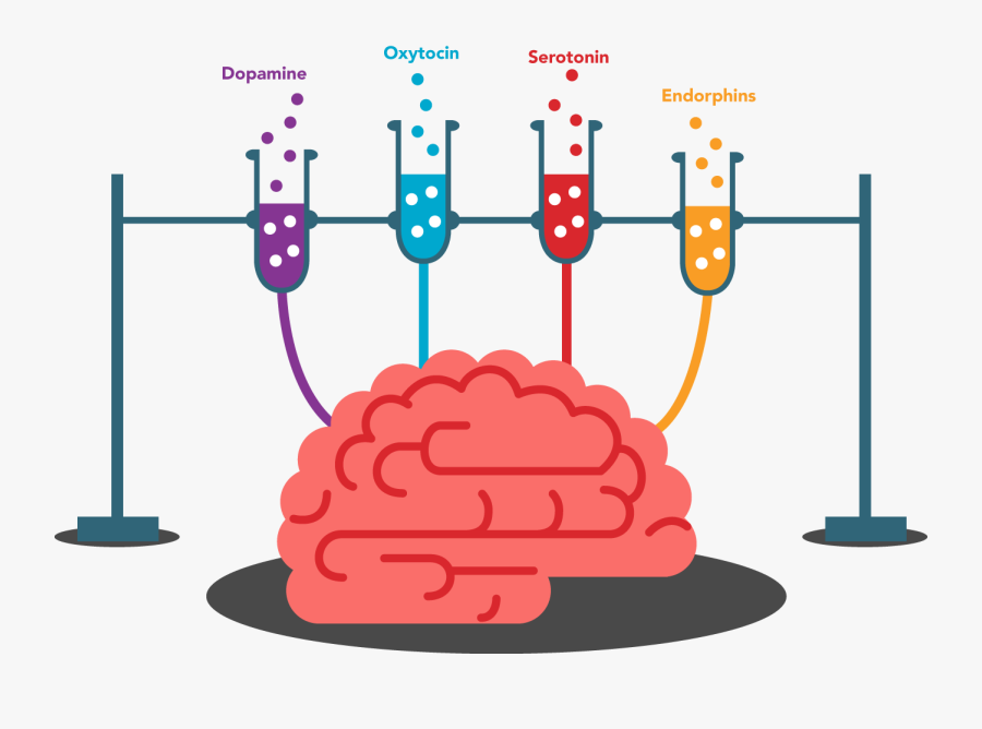 Transparent Brain Clip Art Png - Endorphin Brain Png Transparent, Transparent Clipart