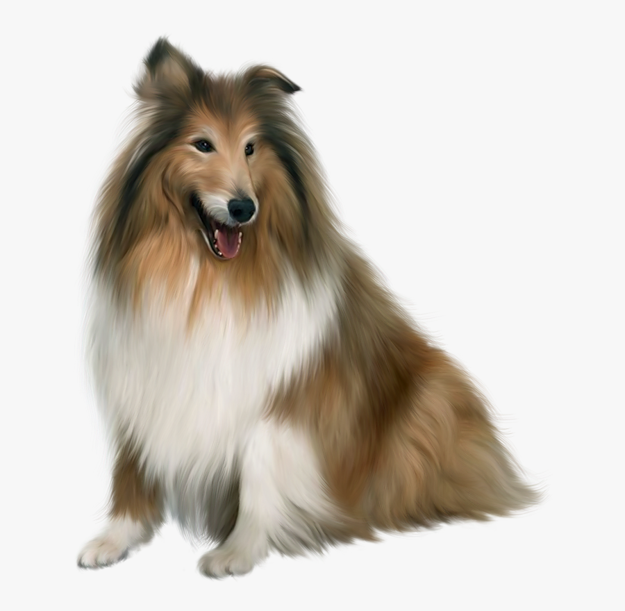 Picture Collie Painted Guinea Dog Singing Puppy Clipart - Collie Png, Transparent Clipart