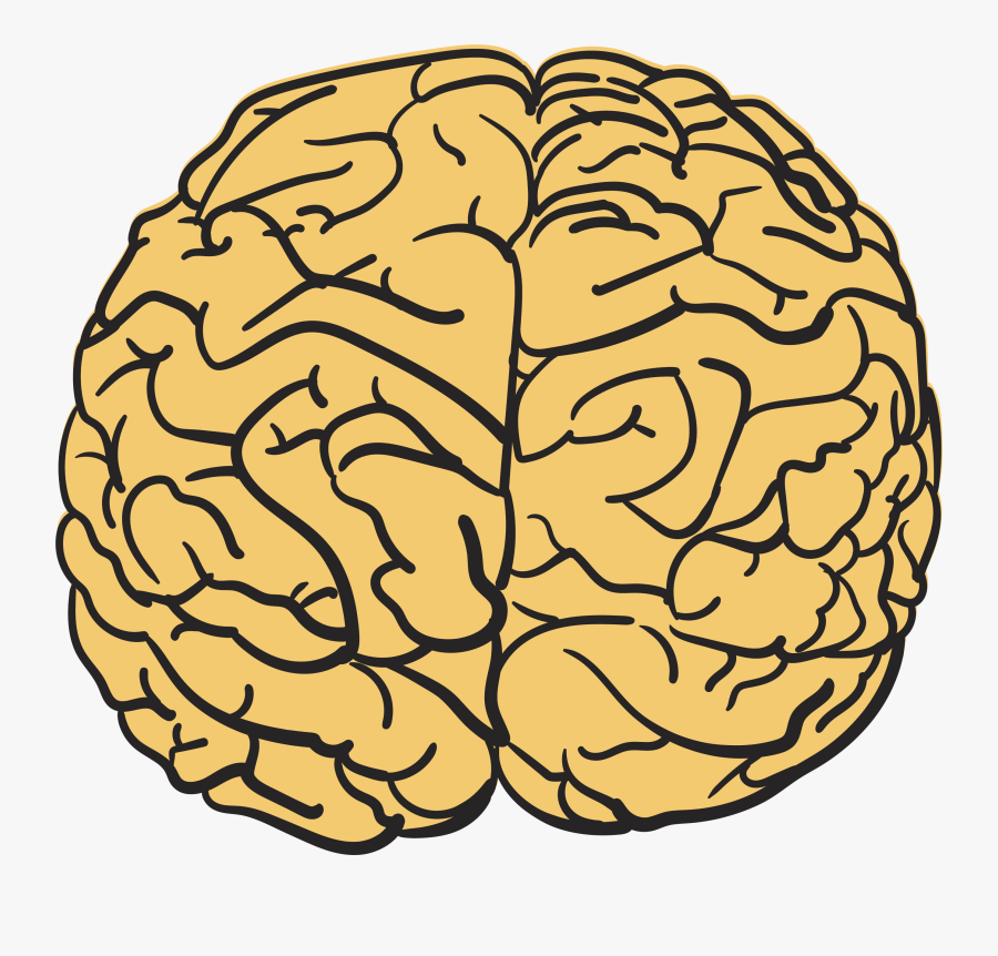 Clip Art Drawing Of Human Brain - Una Mente Para Dibujar, Transparent Clipart