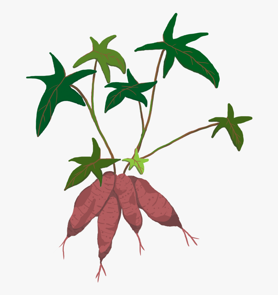 Like A Simple, Little Plant Above Ground, But This - Flower, Transparent Clipart